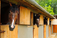 free Great Somerford stable construction quotes